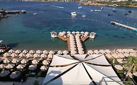 The Highlight Bodrum